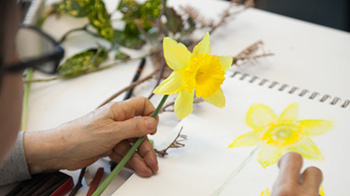 Continuing Education